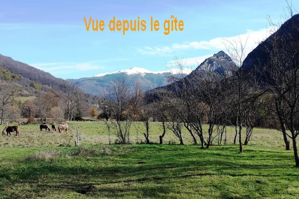 Grange En Pierres. Grand Jardin Et Belle Vue Villa Saurat ภายนอก รูปภาพ
