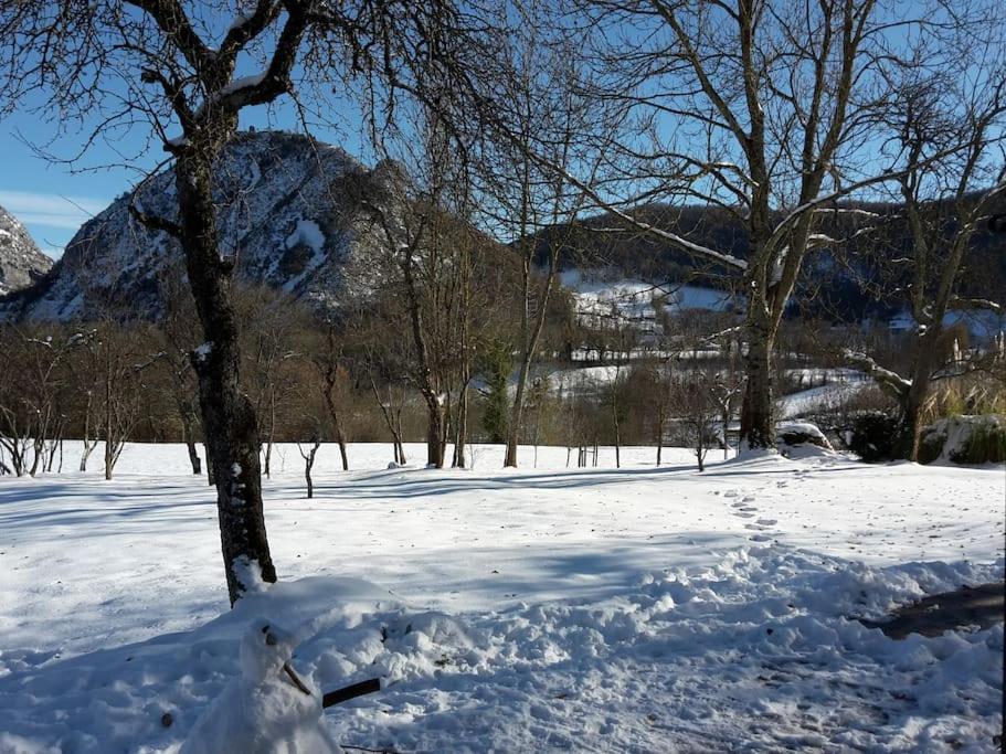 Grange En Pierres. Grand Jardin Et Belle Vue Villa Saurat ภายนอก รูปภาพ